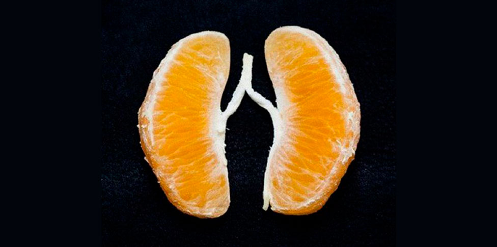 Lee más sobre el artículo ¡Un manojo de ideas! sobre la “Driving Pressure”