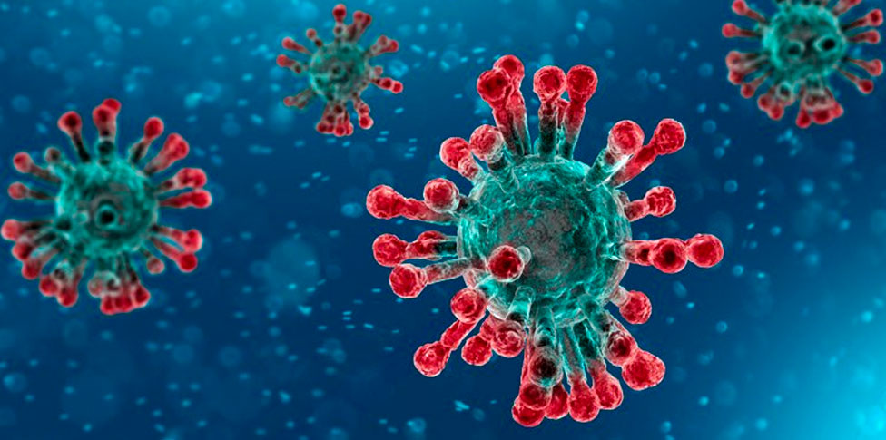 Lee más sobre el artículo ¿Qué hacer frente al Coronavirus?